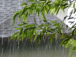 Վնասներ Մեղրաձոր գյուղում տեղումների հետևանքով