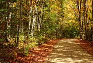 Աշնանը մարդիկ սեզոնային դեպրեսիա են տանում