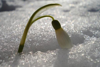 Ինչպիսի եղանակ է սպասվում առաջիկա օրերին