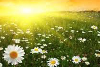 Հանրապետությունում սպասվում է առանց տեղումների եղանակ