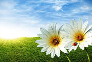 Առաջիկա օրերին ջերմաստիճանը կնվազի  9-11 աստիճանով