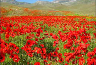 Ինչպիսի եղանակ է սպասվում առաջիկա օրերին