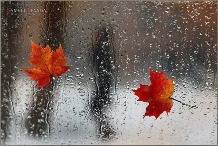 Հանրապետությունում սպասվում են տեղումներ. ջերմաստիճանը կնվազի 4-5 աստիճանով