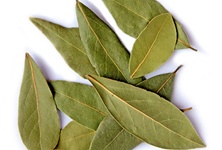 Լոբի և դափնի. երկու դեղատոմս գիրության և շաքարախտի դեմ