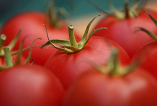 Բուժիչ ոսկեխնձորը