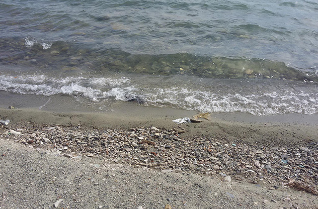 Քաղաքացիները դուրս եկել Սևանա լիճ ձկնորսության և չեն վերադարձել