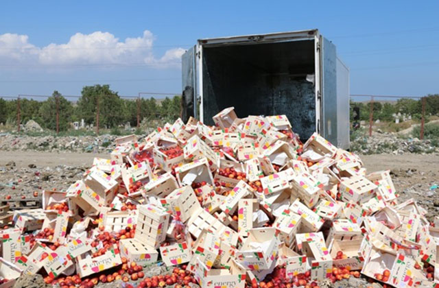 Ղրիմում ոչնչացվել է 4 տոննա «պատժամիջոցային» նեկտարին