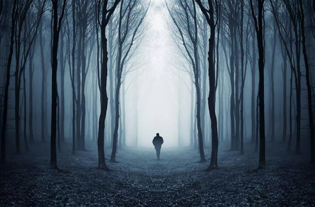 Որո՞նք են ժամանակակից մարդու վախերը