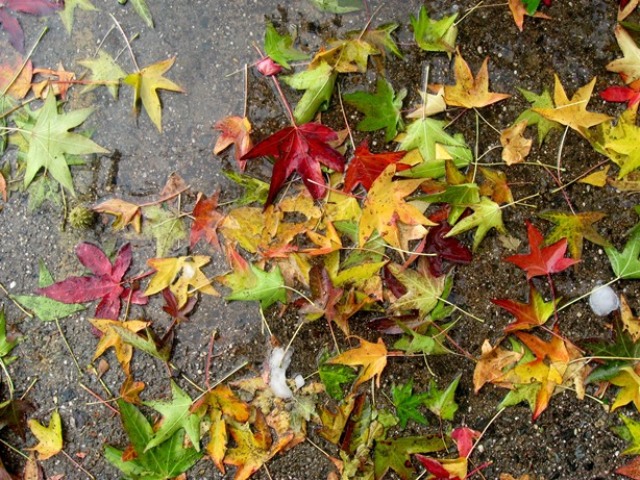 Առաջիկա 5 օրվա եղանակի կանխատեսում