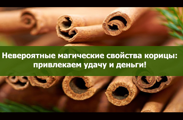 Դարչինի անհավանական մոգական հատկությունները