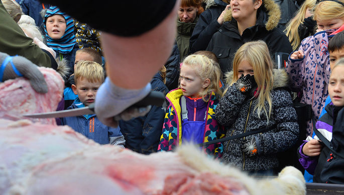 Դանիայի կենդանաբանական այգում երեխաների աչքի առաջ առյուծի են հերձել