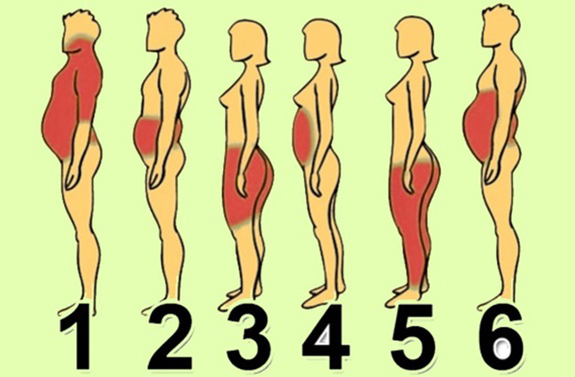 Ճարպակալման 6 տեսակ. ինչի մասին են խոսում ձեր մարմնի ավելորդ կիլոգրամները