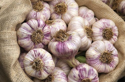 Սխտորի մոգական հատկությունները