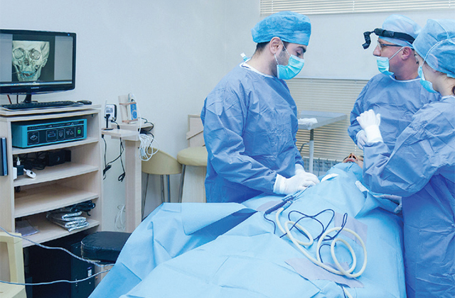 Գայլի հարձակումից տուժած կնոջն արդեն վիրահատում են. աշխատում են մի քանի վիրահատական խմբեր