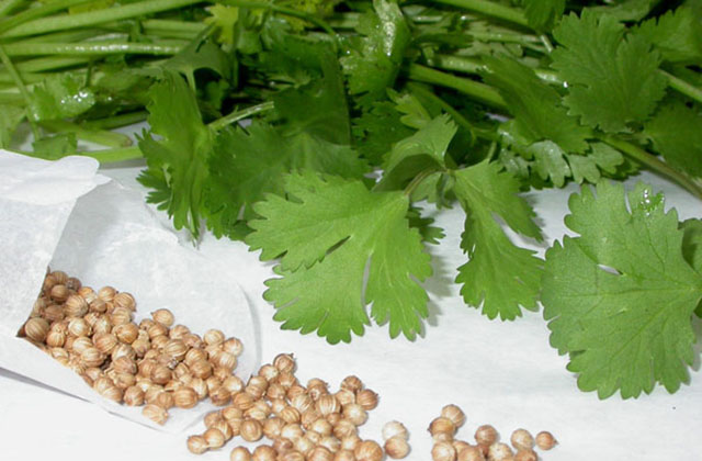 Համեմը՝ շաքարի բարձր մակարդակի դեմ Համեմը՝ շաքարի բարձր մակարդակի դեմ