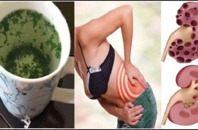 Մաղադանոսի ջուրը՝ երիկամների համար