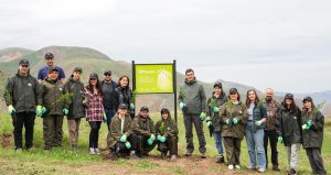 Сотрудники Ucom приняли участие в работе по восстановлению леса в Вайоц Дзоре